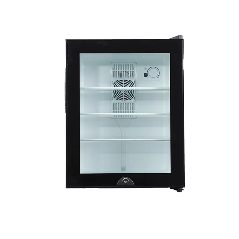 Mini Fridge Cooler 40L Refrige - Wine Beer Fridge Small recension och pris